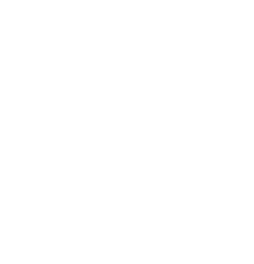 Logo SOLVEO